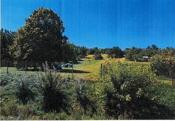 pozemky v Pečeňadoch - podiely