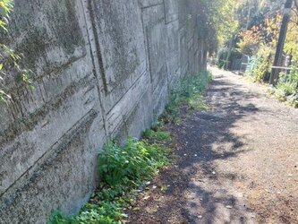 čiastočn&yacute; pohľad na pozemok (zvy&scaron;n&aacute; časť pod m&uacute;rom)